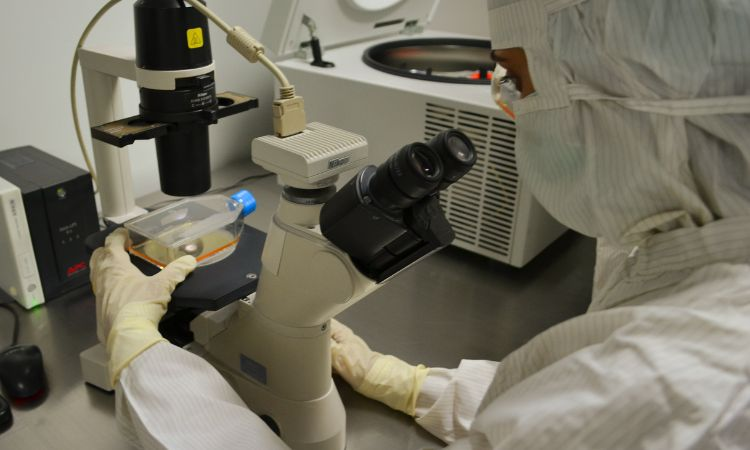 Profesional procesando una muestra en un microscopio de laboratorio clínico